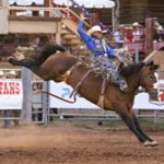 SOLD OUT: Pikes Peak Or Bust Rodeo presented by  at Norris Penrose Event Center, Colorado Springs CO