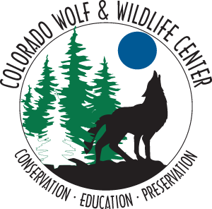 Colorado Wolf & Wildlife Center located in Divide CO