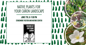 Native Plants in your Cañon Landscape presented by Friends of Cheyenne Cañon at Starsmore Discovery Center, Colorado Springs CO