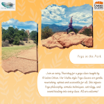 Yoga in the Park presented by Garden of the Gods Visitor & Nature Center at Garden of the Gods Visitor and Nature Center, Colorado Springs CO