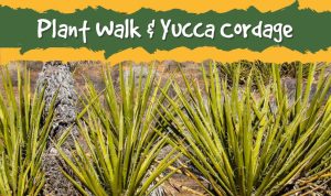 Plant Walk & Yucca Cordage presented by  at ,  