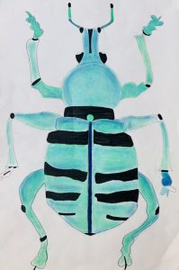 CANCELED: The Natural World (Ages 9-12) presented by Bemis School of Art at the Colorado Springs Fine Arts Center at Colorado College at Bemis School of Art at the Colorado Springs Fine Arts Center at Colorado College, Colorado Springs CO