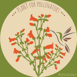 Pollinator Patch Planning: CANCELLED presented by  at ,  