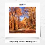 Storytelling through Photography Class presented by Pikes Peak Library District at PPLD: Library 21c, Colorado Springs CO