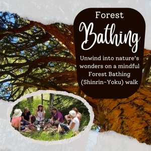 Forest Bathing Shinrin Yoku Walk presented by Garden of the Gods Visitor & Nature Center at Garden of the Gods Visitor and Nature Center, Colorado Springs CO