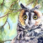 Barred Owl Watercolor Class presented by  at ,  