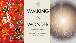‘Walking In Wonder:’ New Work by Joseph Liberti and Tricia Soderberg presented by Surface Gallery at Surface Gallery, Colorado Springs CO