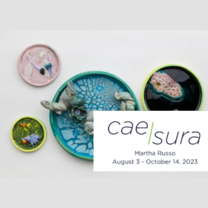 ‘Caesura’ presented by UCCS Galleries of Contemporary Art at Ent Center for the Arts, Colorado Springs CO