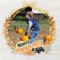 Gallery 1 - Miners' Pumpkin Patch 2023