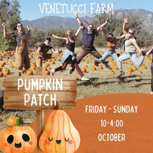 Gallery 1 - Venetucci Farm Pumpkin Fest