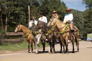 Bronc Day Festival presented by Rainy Day Activities in the Pikes Peak Region at ,  