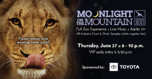 Moonlight on the Mountain presented by Cheyenne Mountain Zoo at Cheyenne Mountain Zoo, Colorado Springs CO