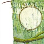 ‘The Tree Stories Project’ presented by Surface Gallery at Surface Gallery, Colorado Springs CO
