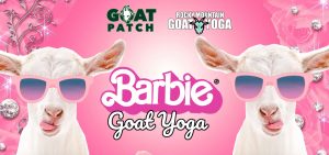 Barbie Goat Yoga presented by Goat Patch Brewing Company at Goat Patch Brewing Company, Colorado Springs CO