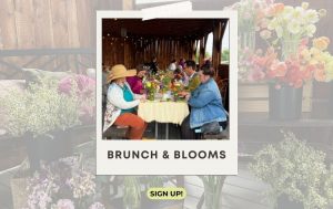 Brunch & Blooms presented by Gather Mountain Blooms at Venetucci Farm at Venetucci Farm, Colorado Springs CO