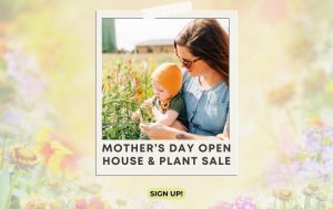 Mother’s Day Open House presented by Gather Mountain Blooms at Venetucci Farm at Venetucci Farm, Colorado Springs CO