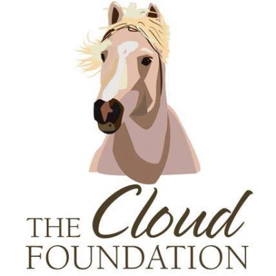 Cloud Foundation located in Colorado Springs CO